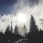 AGA治療の効果が出るまでの期間|なぜ3〜6ヶ月かかるのか正直に解説