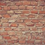 40代のAGA治療は遅くない【2026年最新】今から始めても効果が出る理由と最適な治療プラン