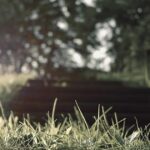 若年性AGA（20代前半）への植毛：早期治療のメリット・デメリット