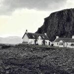 AGA治療の最前線2026｜植毛・薬物療法・再生医療の最新トレンド