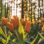 ミノキシジルやめたいあなたへ｜やめてよかった人・後悔した人のリアルな体験談と正しいやめ方