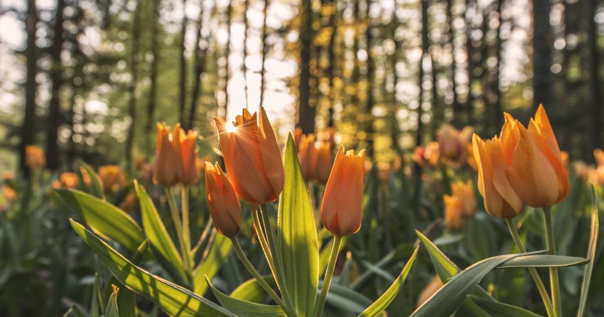 ミノキシジルやめたいあなたへ｜やめてよかった人・後悔した人のリアルな体験談と正しいやめ方