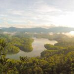 エクソソーム育毛の費用と効果を徹底解説｜HARG・PRPとの違い・回数・選び方まで