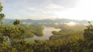 エクソソーム育毛の費用と効果を徹底解説｜HARG・PRPとの違い・回数・選び方まで