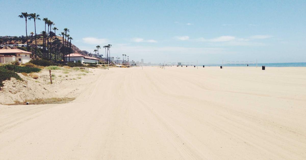 【2026年最新】HARG・PRP・エクソソーム療法の違いを徹底比較｜再生医療による薄毛治療完全ガイド