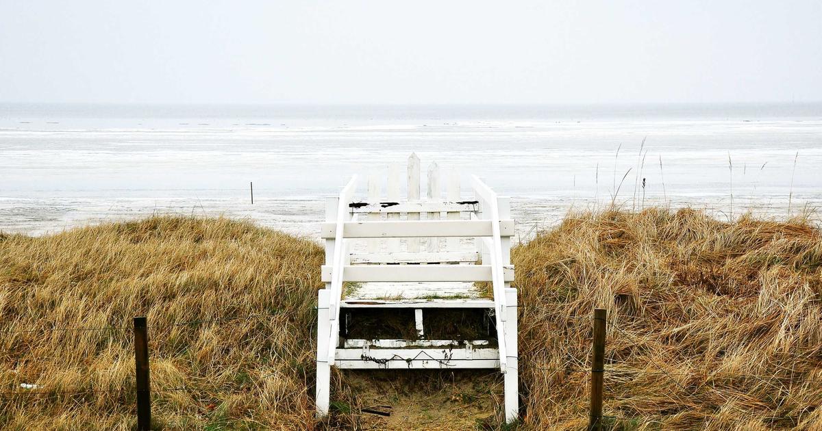 【暴露】AGAオンライン診療の失敗談・デメリット15選｜後悔しないための完全ガイド【2026年最新】