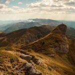 植毛とは?仕組み・効果・費用をわかりやすく解説【2026年最新】