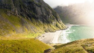 植毛手術の種類を解説｜FUE・FUT・DHI・サファイアFUEの違いと選び方