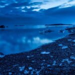 植毛後のケア方法|定着率を高める術後管理の完全ガイド