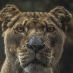 植毛のダウンタイム｜術後の経過・痛み・腫れを日数別に解説