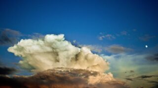 髪の毛移植の費用｜グラフト数・クリニック別の相場まとめ【2026年】