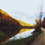 髪の毛移植（植毛）で自然な仕上がりにするためのポイント