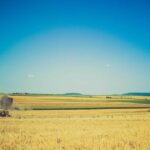 髪の毛移植の向き不向き｜あなたは適応？医師の判断基準を解説