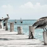 高校生の薄毛はAGA？ストレス性脱毛との見分け方と対処法