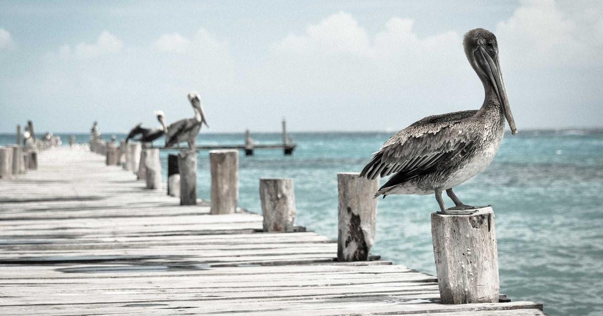 高校生の薄毛はAGA？ストレス性脱毛との見分け方と対処法