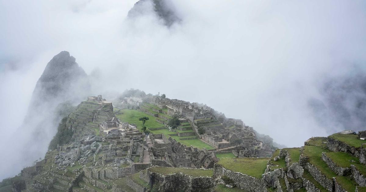 薄毛 若者 ヘアケア