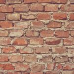 高校生のAGA遺伝リスク｜父方・母方どちらの遺伝子が影響する？