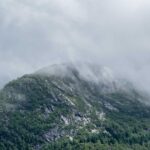 高校生の薄毛に効く市販育毛剤はある？成分と注意点を解説