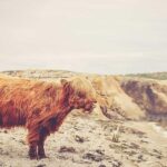 M字はげに植毛は効果的?AGA治療薬との違いと向き不向き