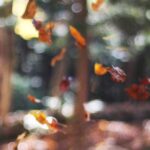 M字はげの植毛手術の流れ｜初診から術後ケアまでの完全ガイド