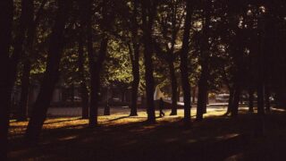 M字はげの植毛費用を抑える方法｜クリニック選びのポイント