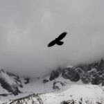 M字はげ植毛のリスク・後悔談｜失敗しないための注意点