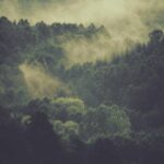 M字はげの植毛後の経過|1ヶ月・3ヶ月・6ヶ月・1年の変化