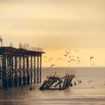 M字植毛の適応条件|ドナー毛の量・頭皮状態の判断基準