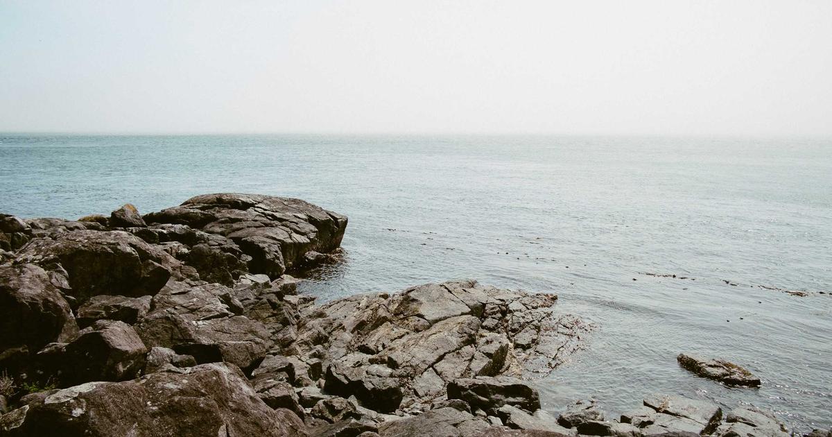 M字植毛の保険適用｜自費診療との違いと医療費控除の活用法