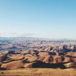 M字植毛のカウンセリングで聞くべき5つの質問