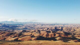 M字植毛のカウンセリングで聞くべき5つの質問