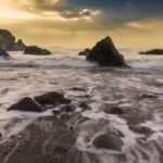 前髪植毛の費用｜必要グラフト数と料金相場を解説