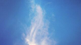 前髪植毛 vs ヘアライン形成術｜どちらを選ぶべき？徹底比較