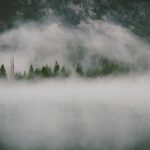 前髪植毛後のスタイリング｜いつから整髪料・ヘアカラーOK？