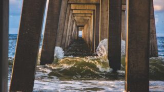 レディース植毛とは？女性の薄毛・抜け毛に植毛は有効か？【2026年】