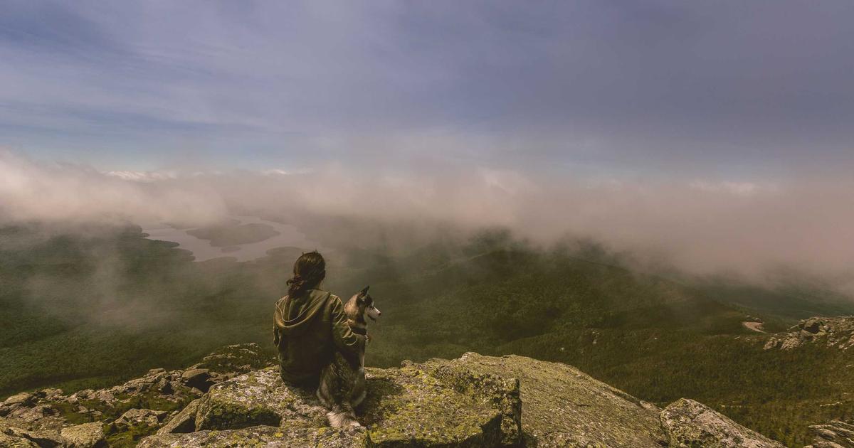 女性 薄毛 ヘアケア