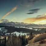 更年期の薄毛と植毛｜ホルモン治療との組み合わせを解説