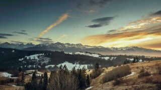 更年期の薄毛と植毛｜ホルモン治療との組み合わせを解説【2026年】