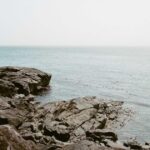 レディース植毛 vs 女性薄毛治療薬｜どちらが効果的か徹底比較