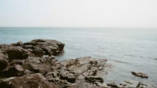 レディース植毛 vs 女性薄毛治療薬｜どちらが効果的か徹底比較