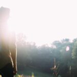 FUT植毛とは？Strip法の仕組み・特徴・向いている人を解説