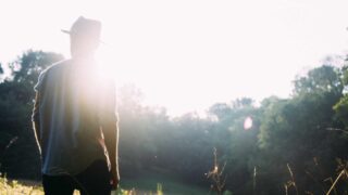 FUT植毛とは？Strip法の仕組み・特徴・向いている人を解説【2026年】