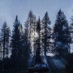 FUT植毛のメリット・デメリット｜FUEとの徹底比較