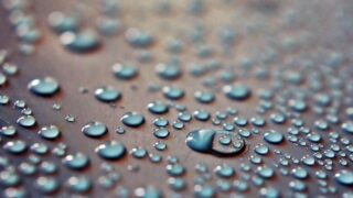 FUT植毛の傷跡はどう残る？ドナー部位の線状瘢痕と目立ちにくくする方法【2026年】