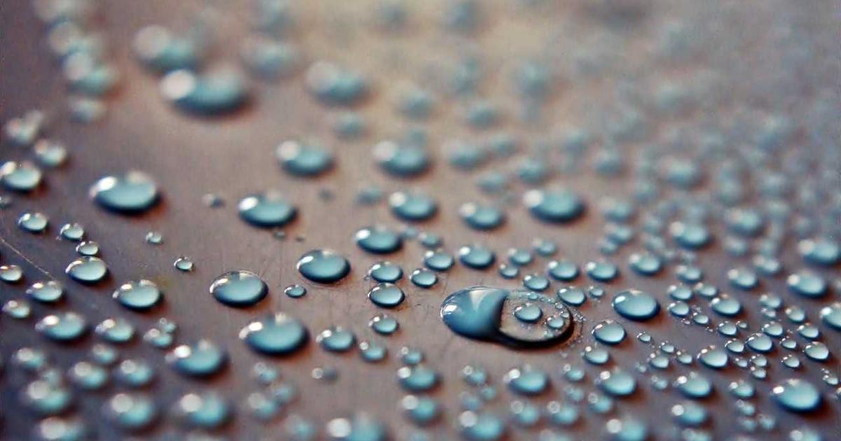 FUT 植毛手術 クリニック