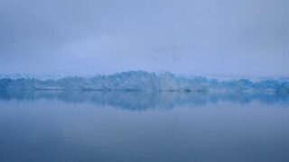 FUT植毛後のケア方法｜定着率を最大化する術後管理のポイント【2026年】