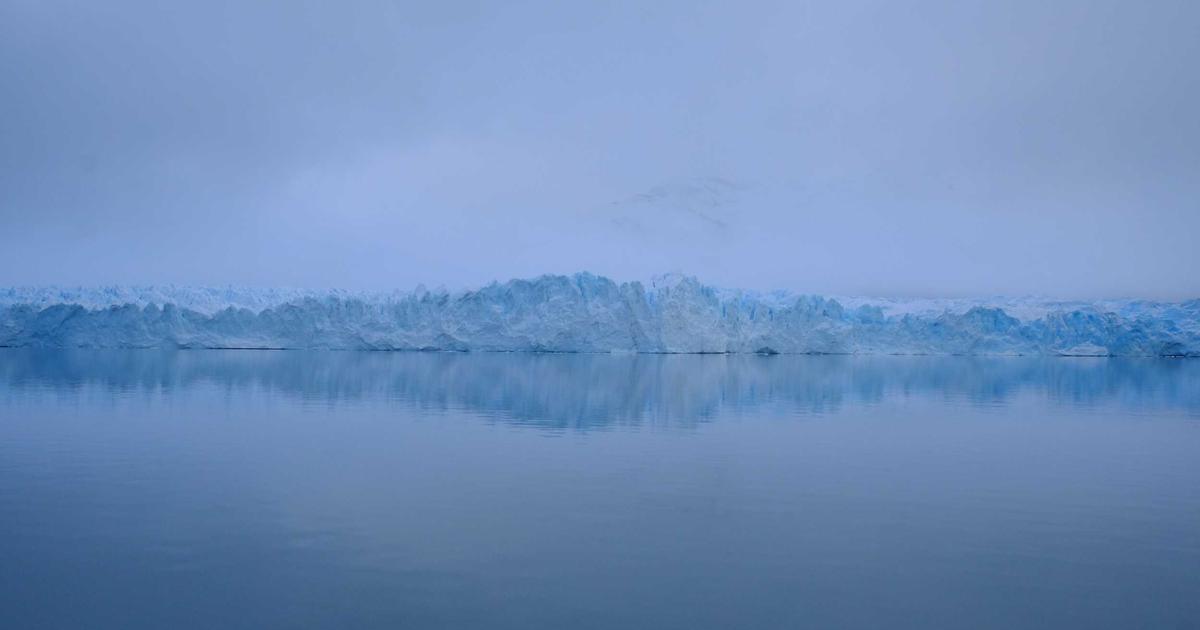 FUT 植毛手術 クリニック