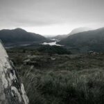 植毛クリニックの無料カウンセリングを活用する方法｜聞くべき質問15選