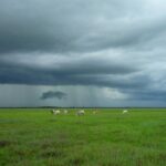 植毛クリニックの口コミ・評判の正しい見方｜ステマに騙されないポイント