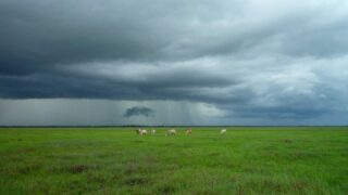 植毛クリニックの口コミ・評判の正しい見方｜ステマに騙されないポイント